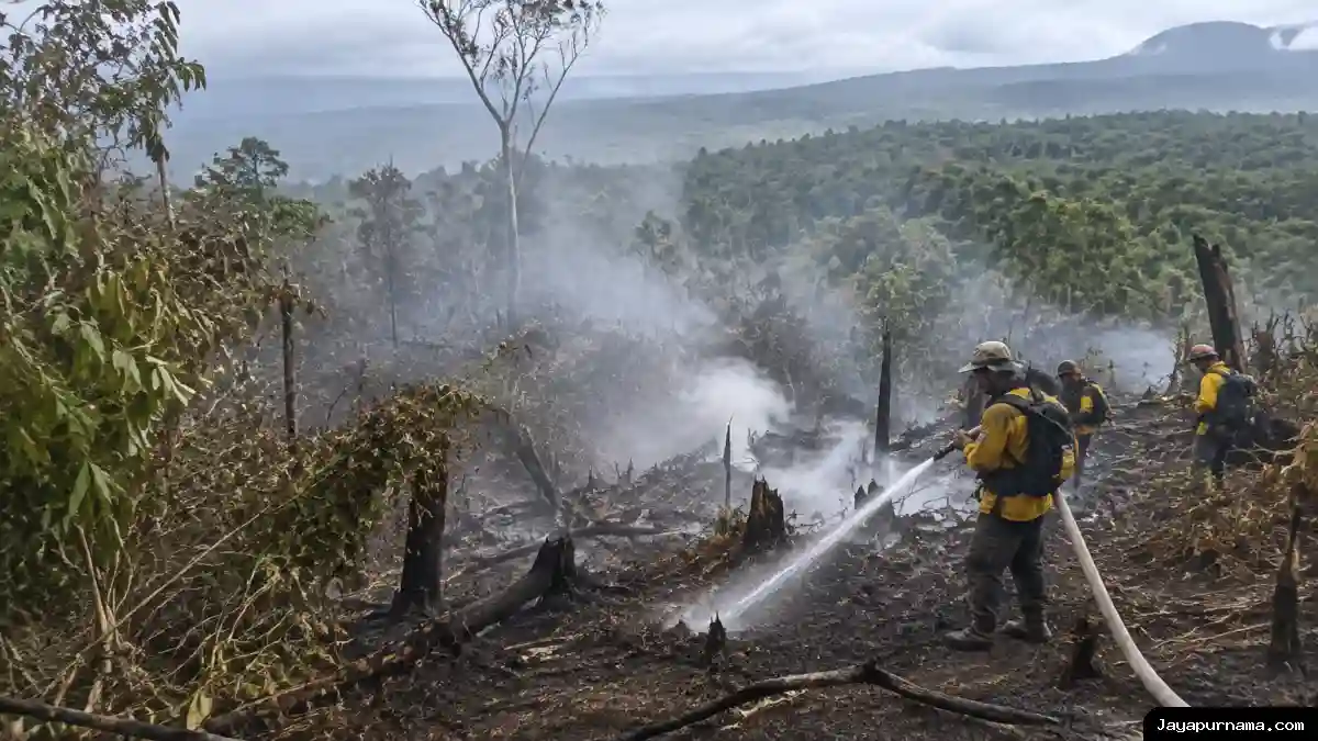 Penanganan Karhutla Lintas Batas: Singapura Soroti 7 Perusahaan