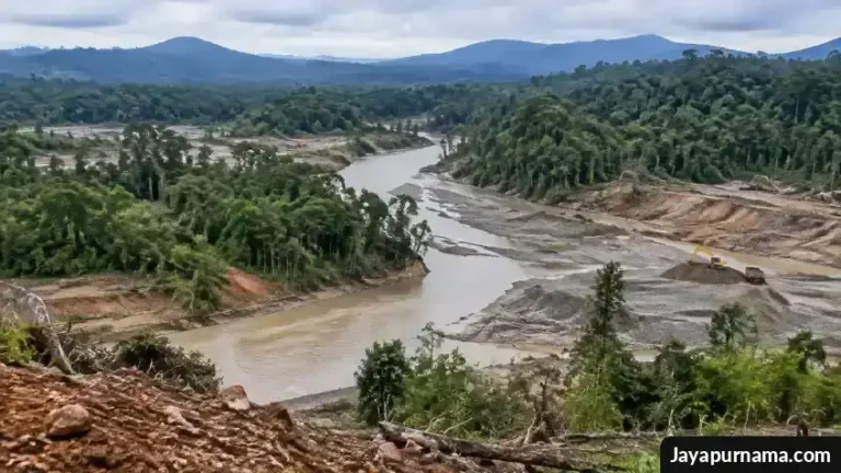 Aliran sungai dan kawasan pertambangan emas di tengah lanskap berhutan di Makimi, Nabire.